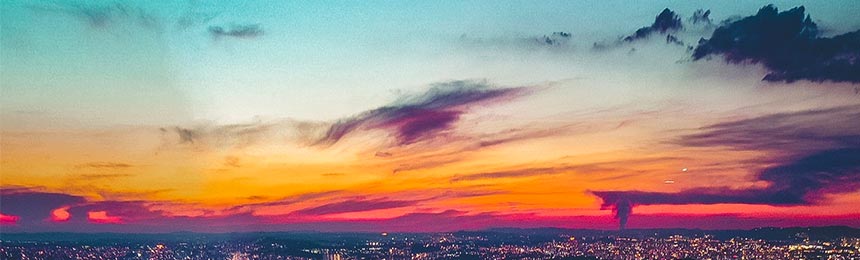 宣威茶虫网_宣威品茶